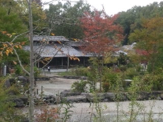 ぎふ清流里山公園のレポート写真2（める）