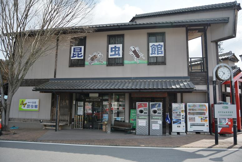 谷汲昆虫館のレポート写真2（レッツなシニア）