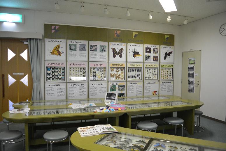 谷汲昆虫館のレポート写真4（レッツなシニア）