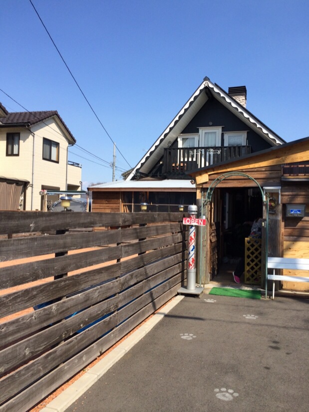 dog☆house BETTYのレポート写真2（melimero）