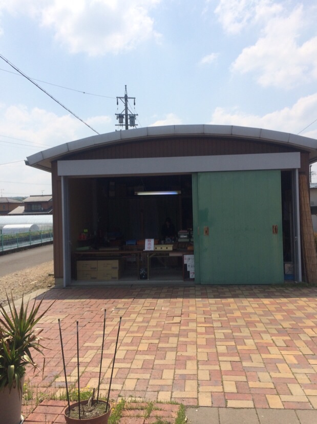 産直販売 いちご畑のレポート写真2（melimero）