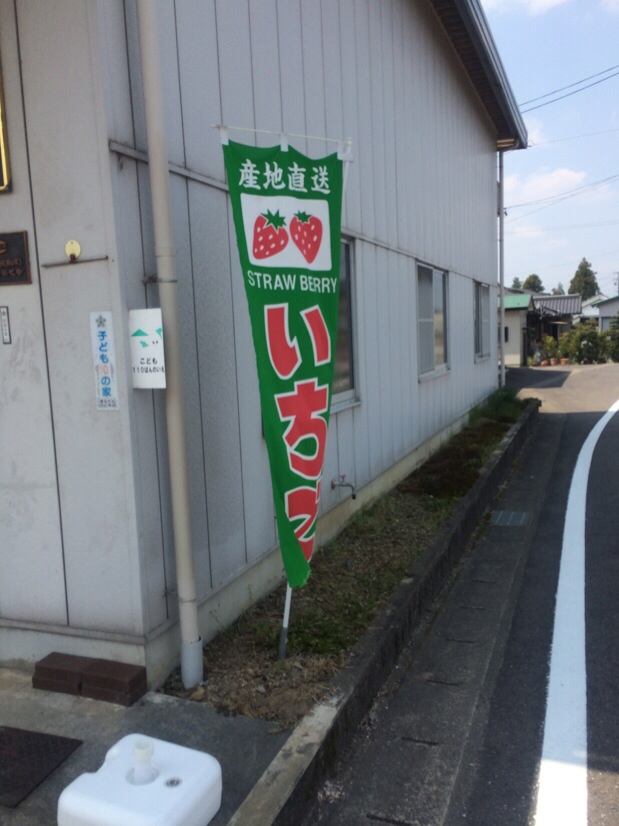 産直販売 いちご畑のレポート写真3（melimero）