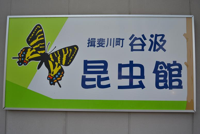 谷汲昆虫館のレポート写真5（レッツなシニア）