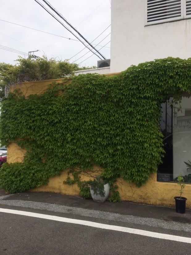 cafe Kante Manfilaのレポート写真1（melimero）