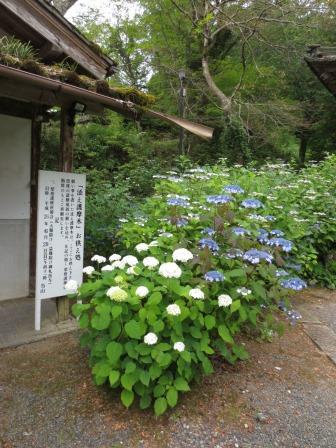 三光寺のレポート写真2（ジェミニ）