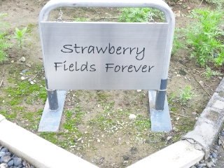 Strawberry Fields Foreverのレポート写真2（める）