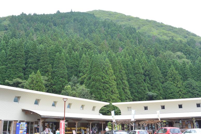 道の駅 夜叉ヶ池の里さかうちのレポート写真5（レッツなシニア）