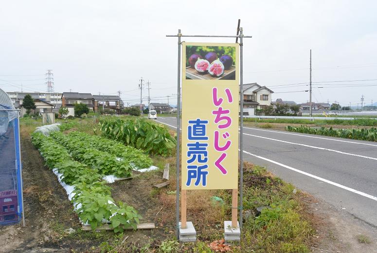 河渡宿いちじく直売所のレポート写真1（レッツなシニア）