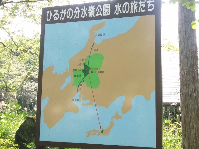 ひるがの分水嶺公園のレポート写真2（める）