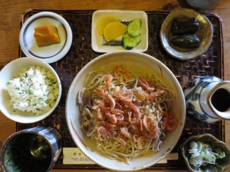 蕎麦 瑠草のレポート写真2（ジェミニ）