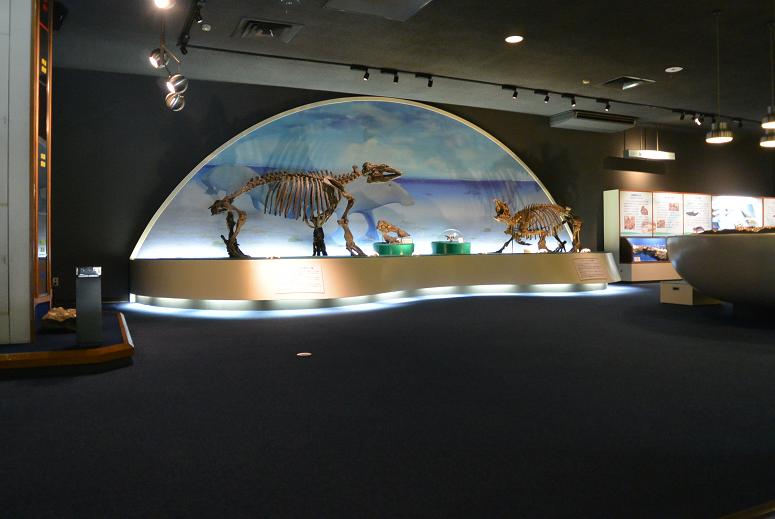 瑞浪市化石博物館のレポート写真4（レッツなシニア）