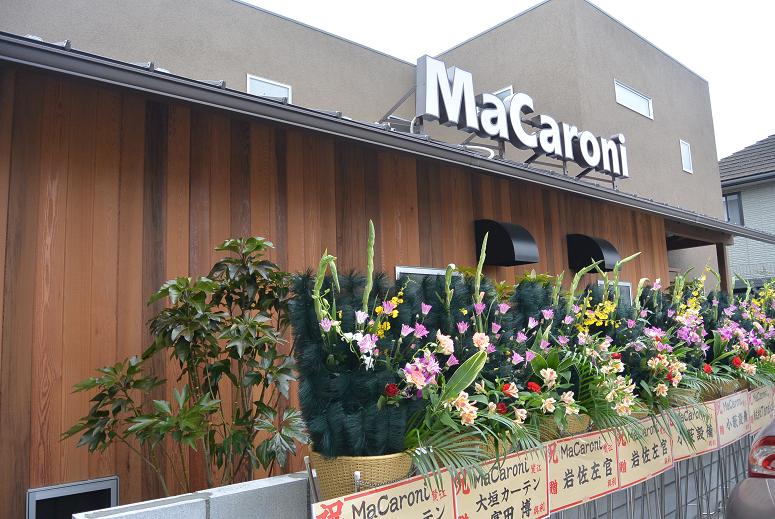 KITCHEN MACARONIのレポート写真1（レッツなシニア）