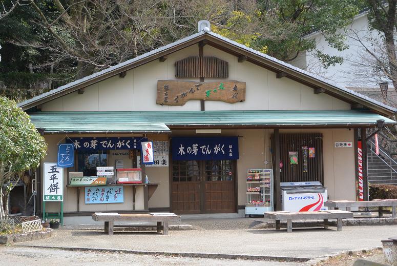 植木屋のレポート写真1（レッツなシニア）