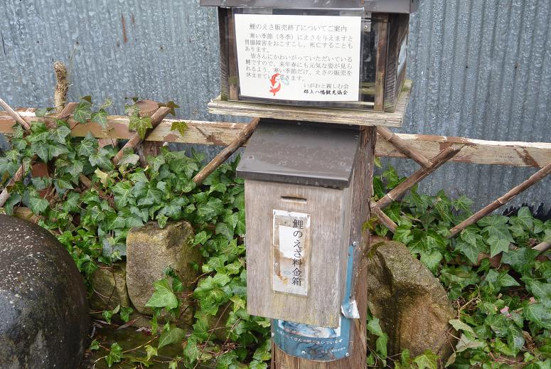 いがわ小径のレポート写真3（レッツなシニア）