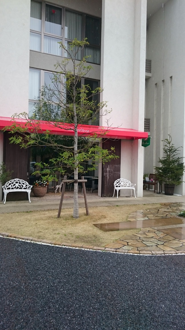 Di Coltura 本店のレポート写真3（みほってぃ）