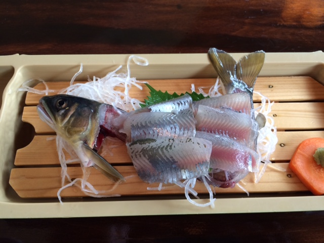 天然鮎料理 みやちかのレポート写真1（あおねこ）