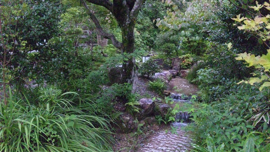山茶林泉のレポート写真1（レッツなシニア）
