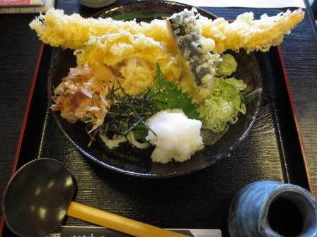 手打うどん そば処 山月のレポート写真1（ジェミニ）
