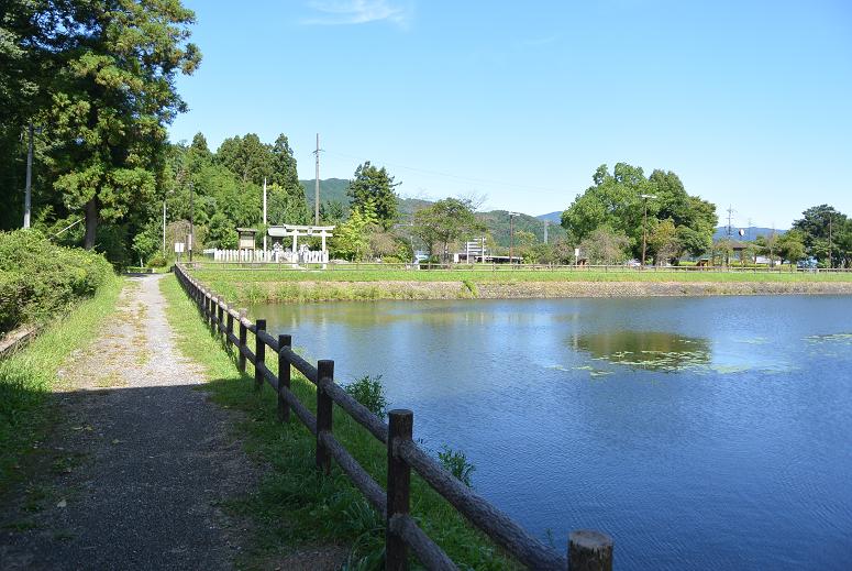 十九女池公園のレポート写真1（レッツなシニア）