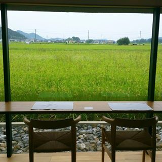 SO GOODのレポート写真1（にしこ）