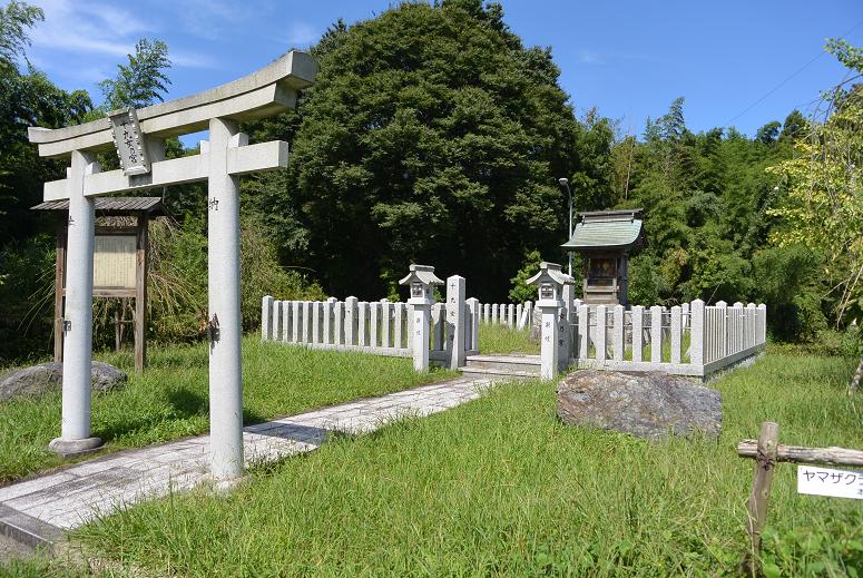十九女池公園のレポート写真3（レッツなシニア）