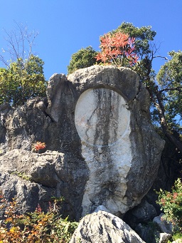 金生山岩巣公園のレポート写真1（マロン）