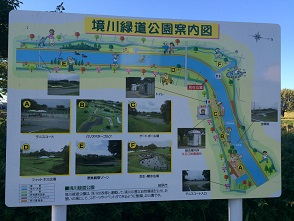 境川緑道公園のレポート写真1（マロン）