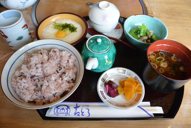 麦とろ 本店のレポート写真2（レッツなシニア）