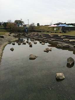 境川緑道公園のレポート写真2（マロン）