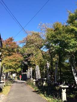 金生山明星輪寺のレポート写真3（マロン）