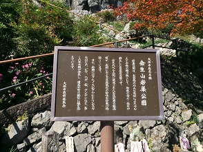 金生山岩巣公園のレポート写真3（マロン）