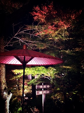 温泉寺のレポート写真3（マロン）