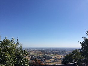 金生山岩巣公園のレポート写真4（マロン）