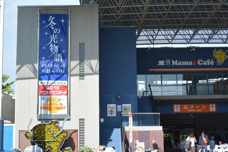 国営木曽三川公園センターのレポート写真4（レッツなシニア）