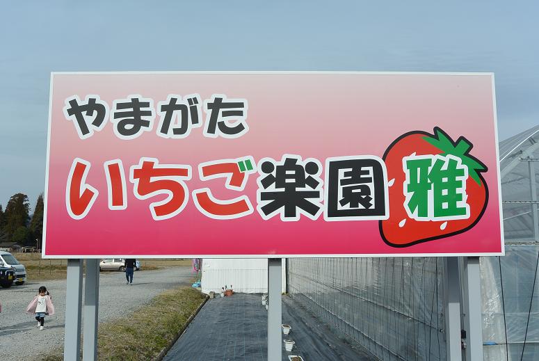 やまがた いちご楽園 雅のレポート写真1（レッツなシニア）