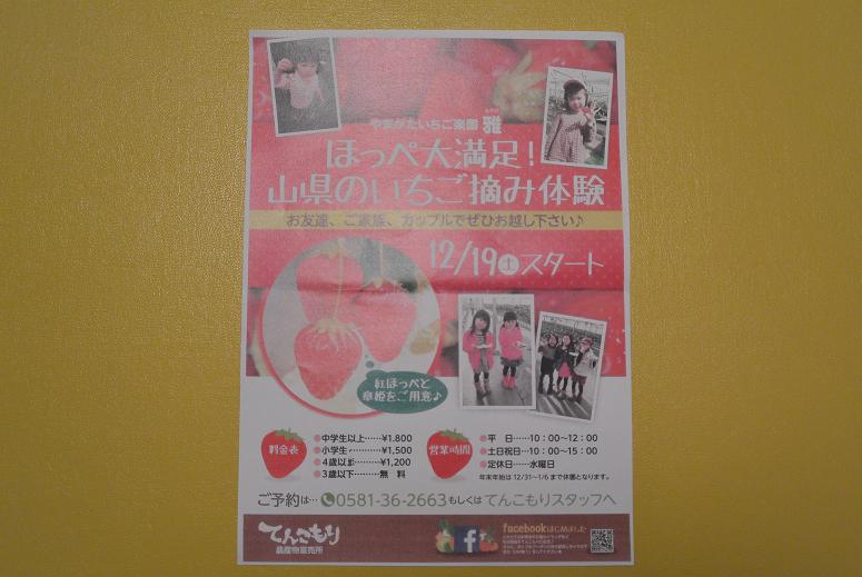 やまがた いちご楽園 雅のレポート写真5（レッツなシニア）