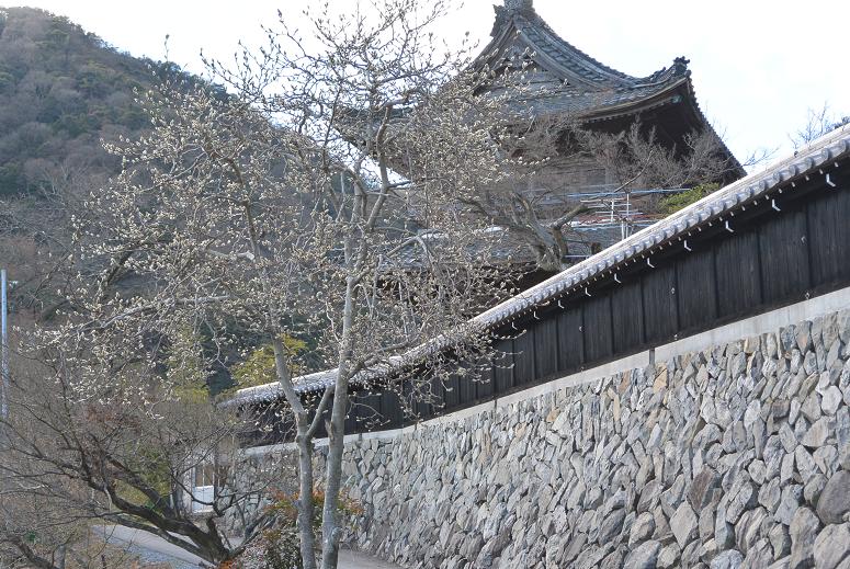 行基寺のレポート写真5（レッツなシニア）