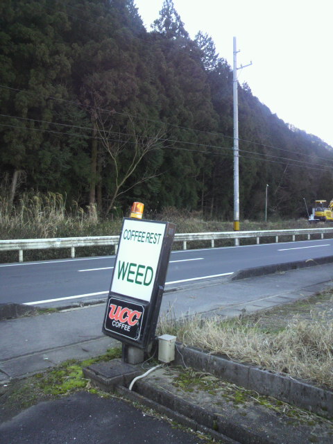 RESTRANT WEEDのレポート写真5（ポニョ）