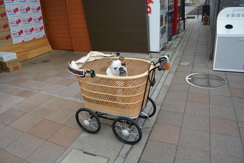 道の駅 可児ッテのレポート写真4（レッツなシニア）