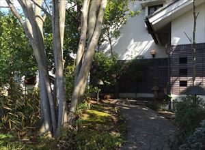 葡萄屋蔵ぶのレポート写真5（レッツなシニア）