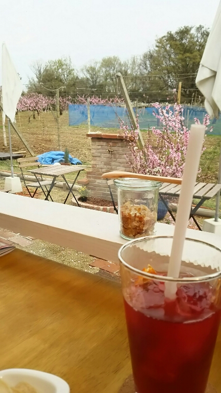 農園カフェyamakiのレポート写真2（める）