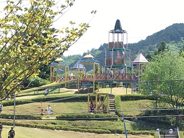 人道の丘公園のレポート写真1（マロン）