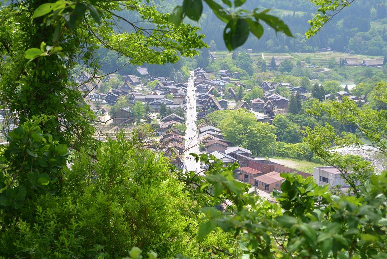 どっこらしょのレポート写真5（レッツなシニア）