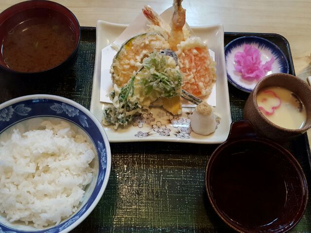 ねのひのレポート写真1（mogu）