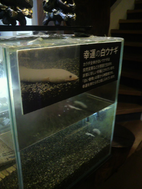 うなぎ屋たむろ グリュー各務原店のレポート写真3（ポニョ）