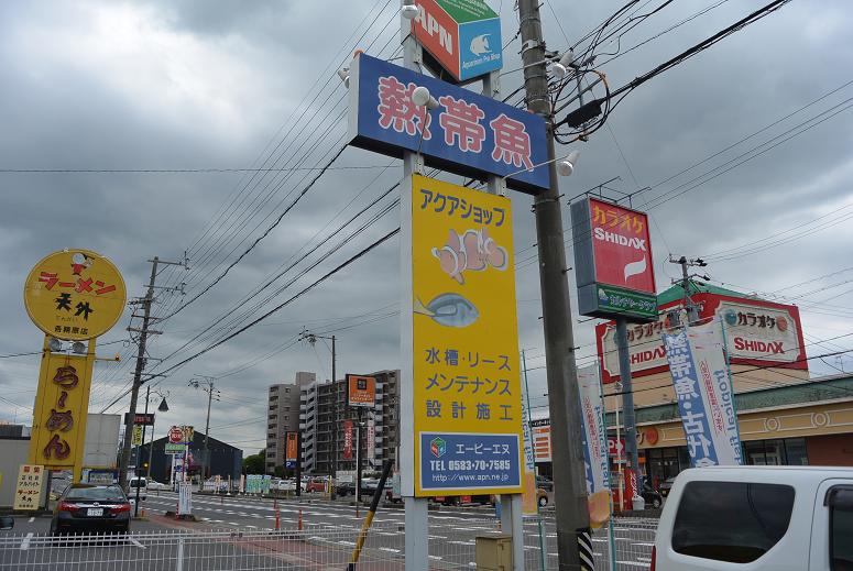 AQUARIUM PRO SHOP エーピーエヌ 本店のレポート写真1（レッツなシニア）