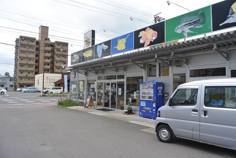 AQUARIUM PRO SHOP エーピーエヌ 本店のレポート写真2（レッツなシニア）