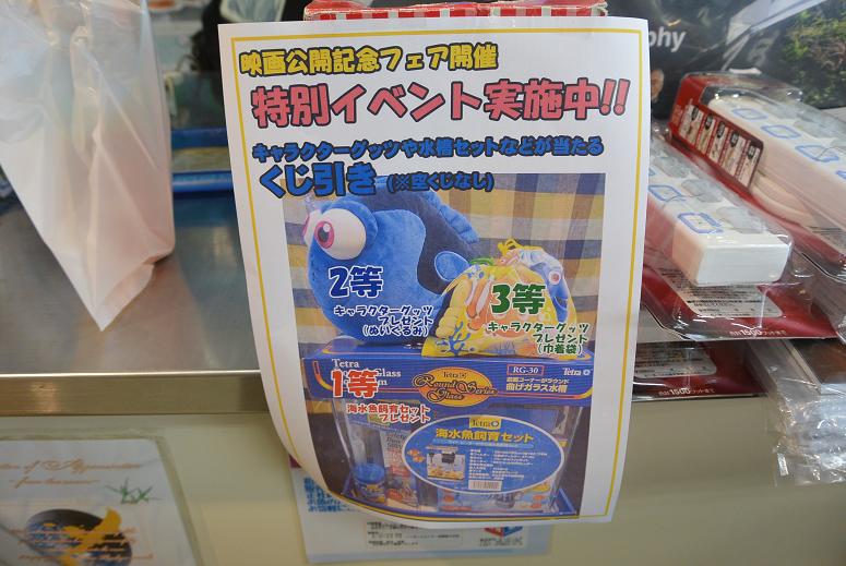 AQUARIUM PRO SHOP エーピーエヌ 本店のレポート写真4（レッツなシニア）