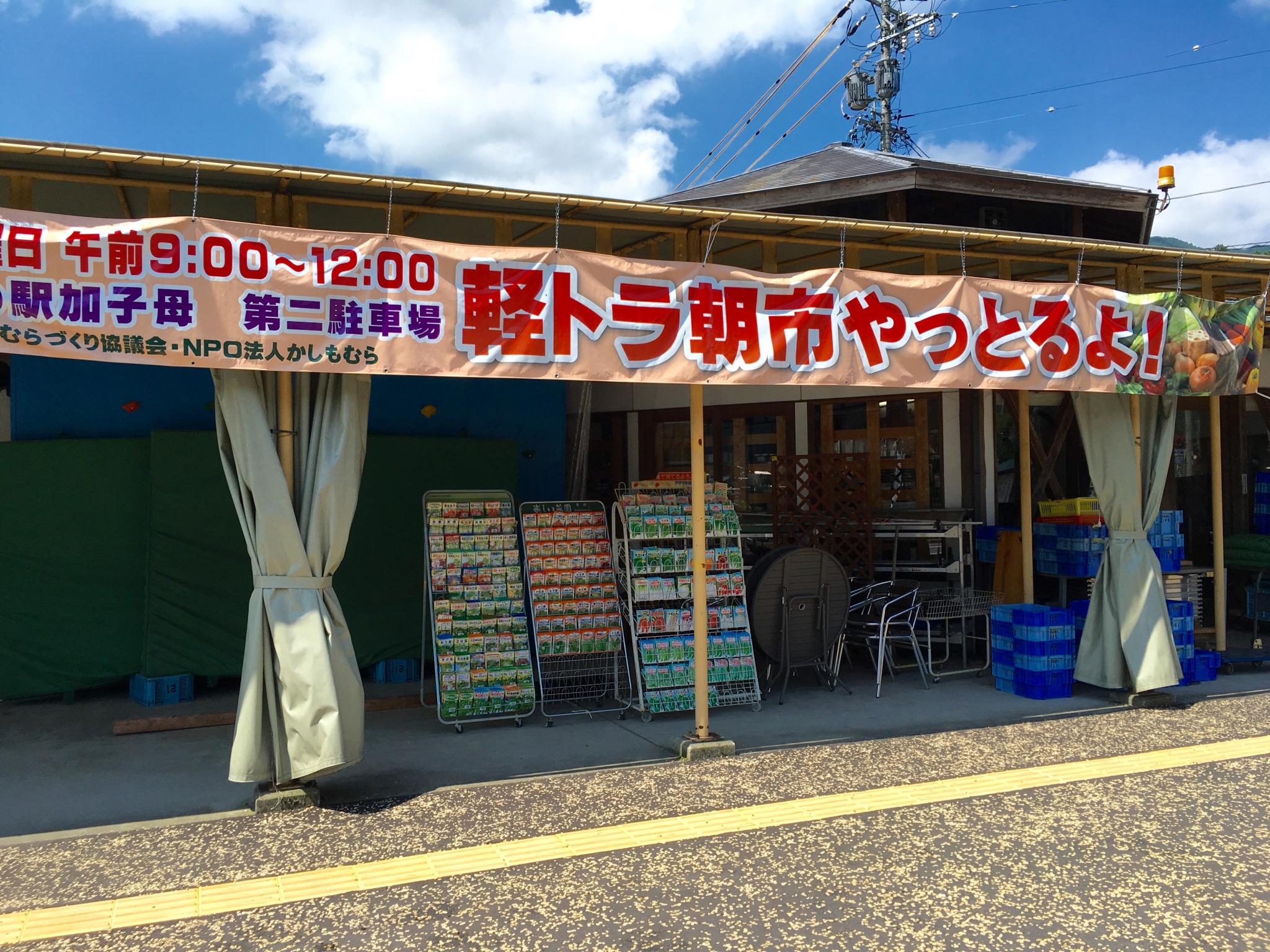 道の駅 加子母のレポート写真1（マロン）