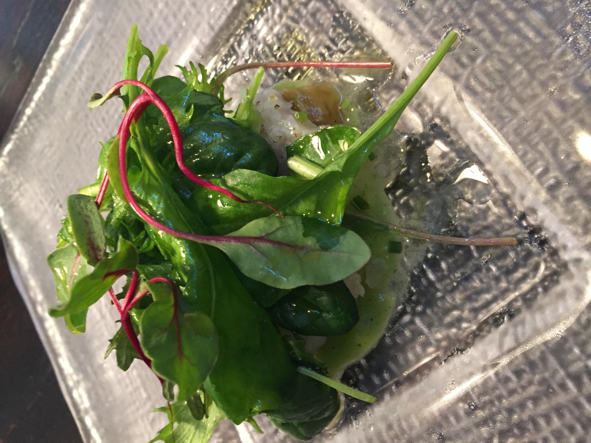 RESTAURANT TAKEUCHIのレポート写真1（ayu☆）